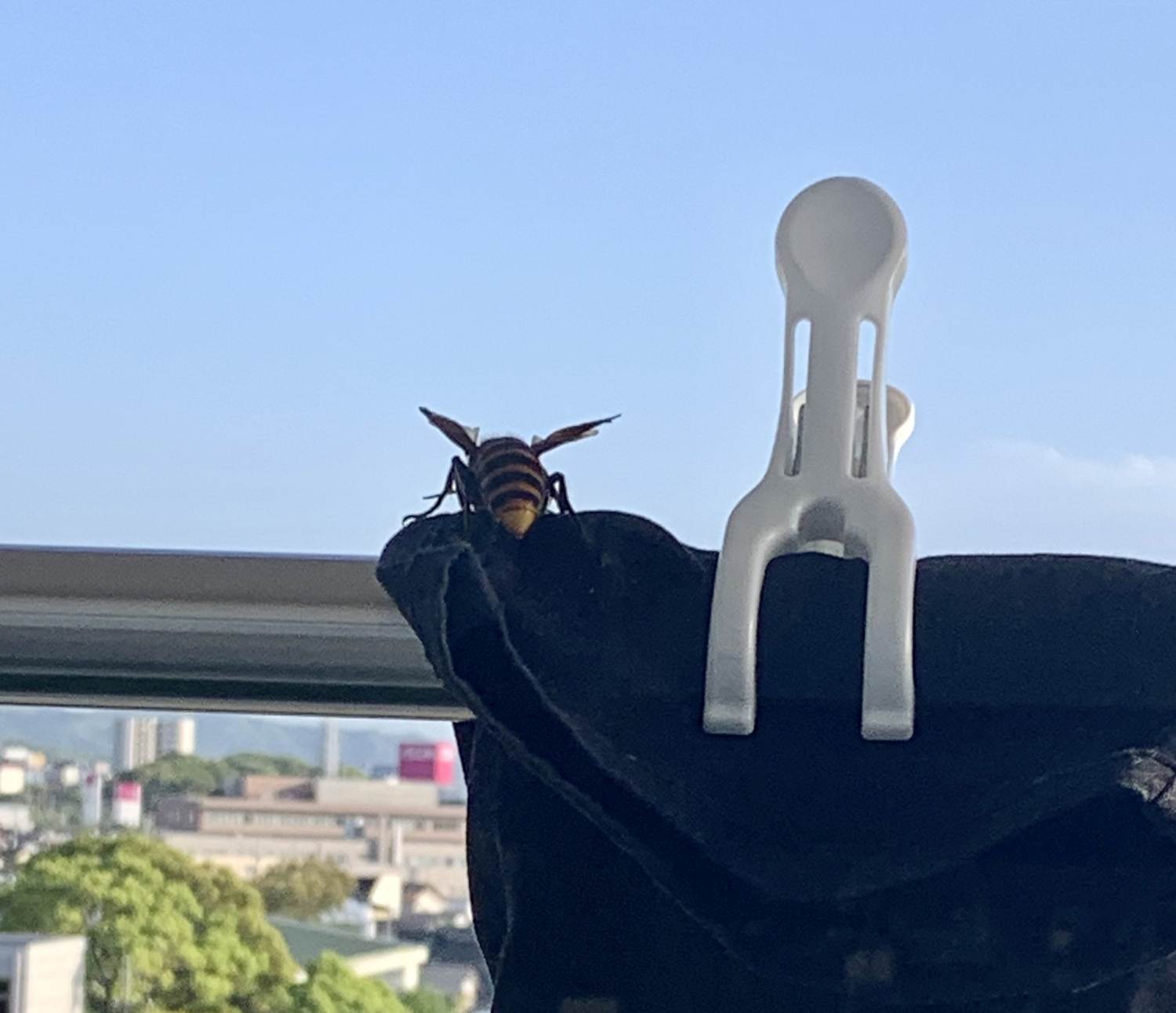 洗濯ものが干せない